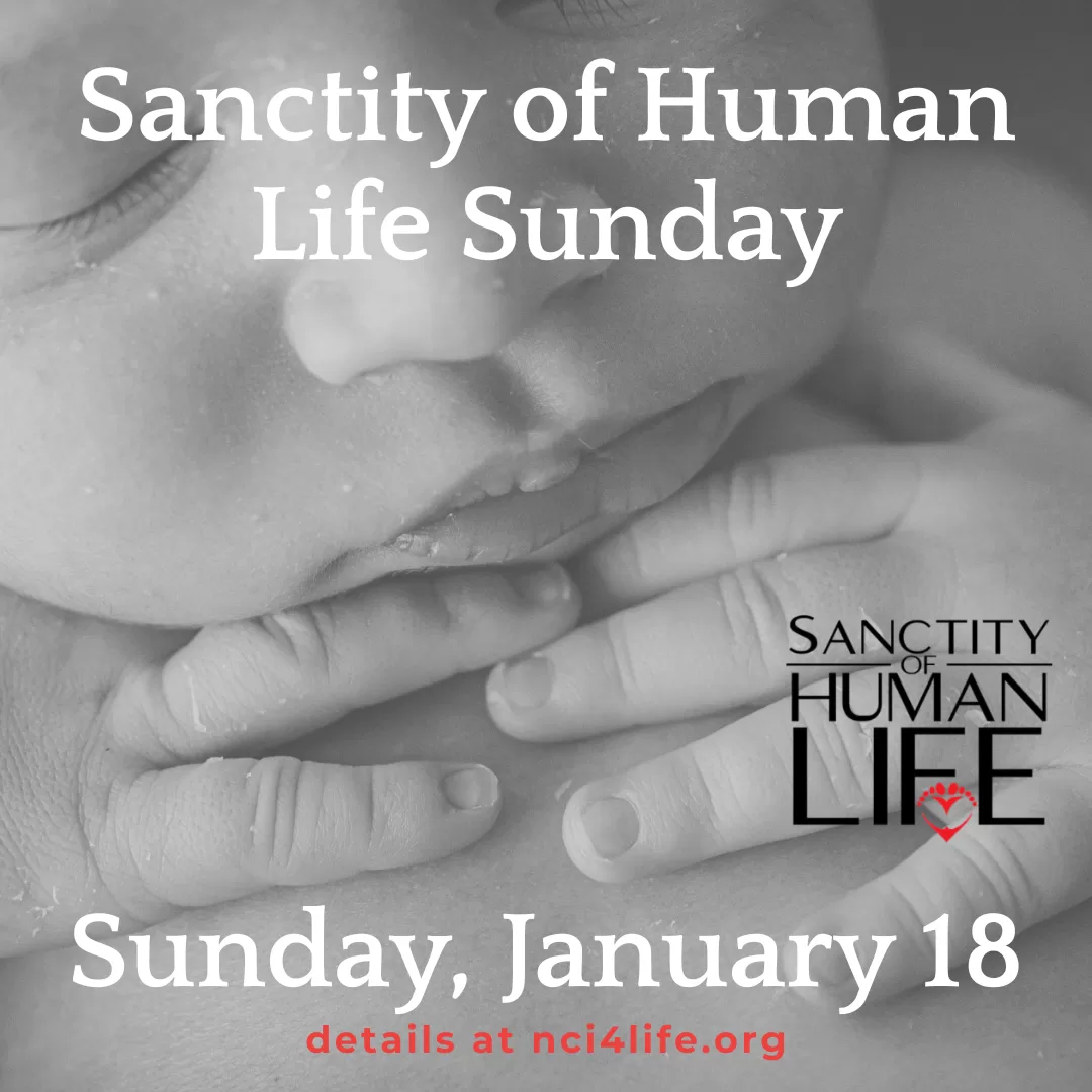 sohl_sunday_sharable_1 Sanctity of Human Life Sharable