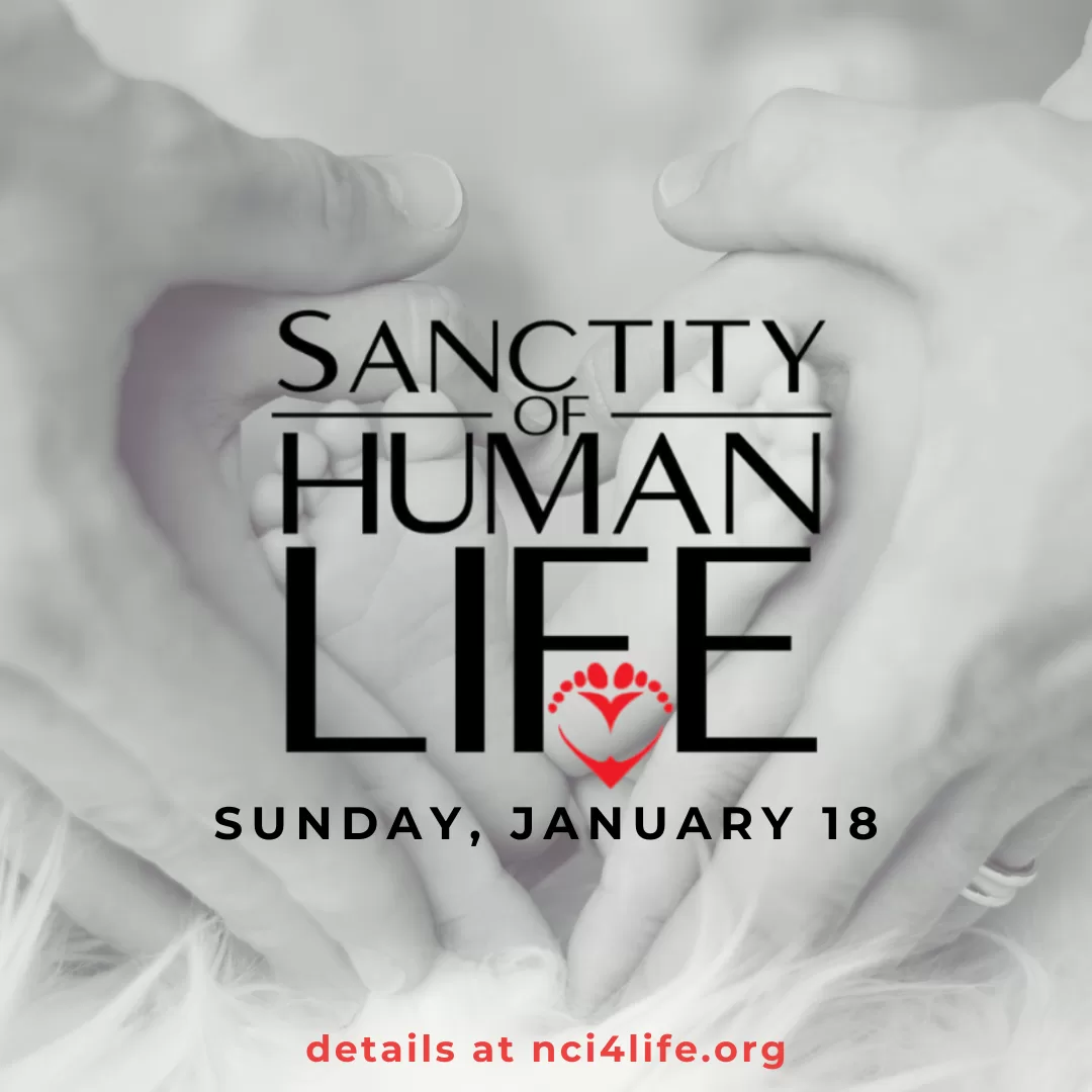 sohl_sunday_sharable_2 Sanctity of Human Life Sharable