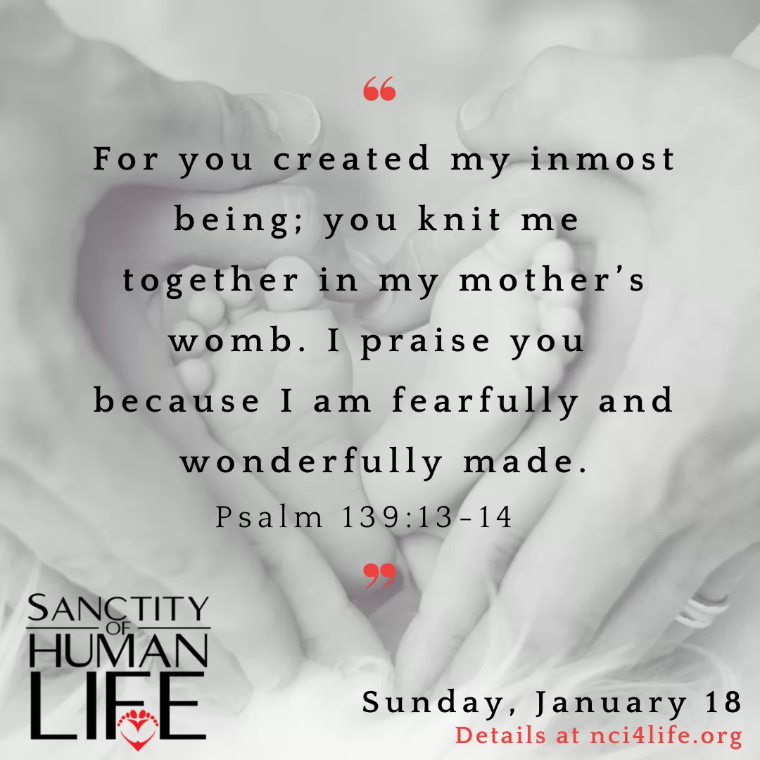 sohl_sunday_sharable_3 Sanctity of Human Life Sharable