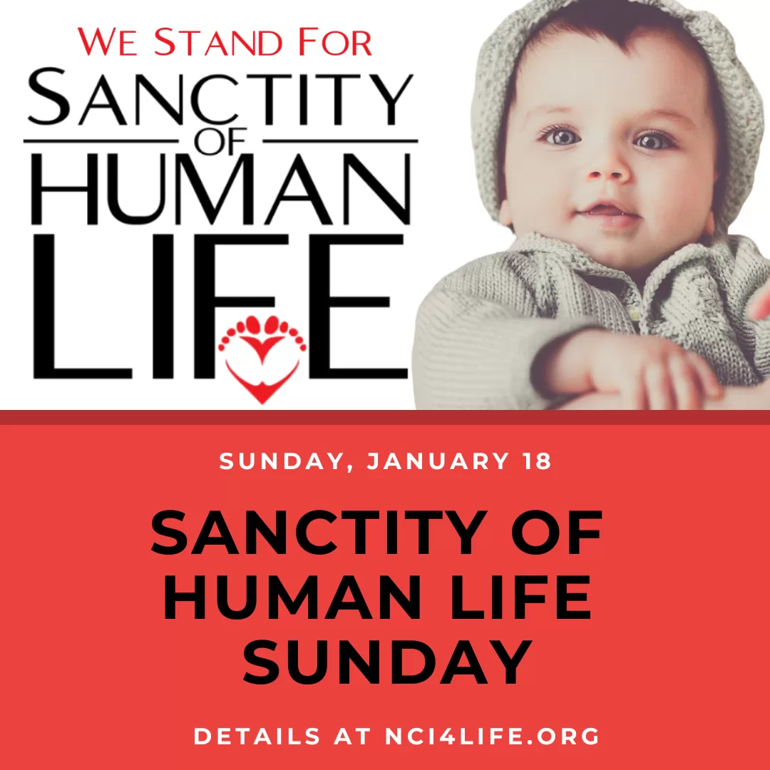 sohl_sunday_sharable_4 Sanctity of Human Life Sharable
