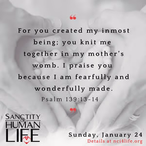 sol_sunday_image_2 Sanctity of Human Life Sunday Sharable