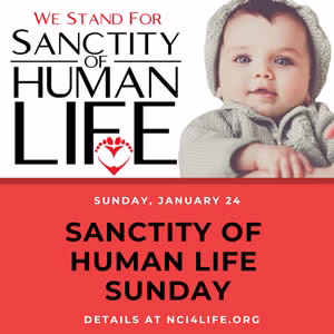 sol_sunday_image_4 Sanctity of Human Life Sunday Sharable