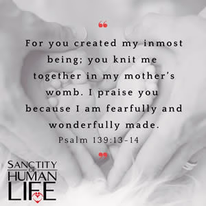 sol_sunday_image_6 Sanctity of Human Life Sunday Sharable